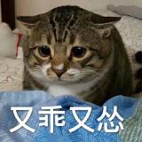秩秩斯干  幽幽南山