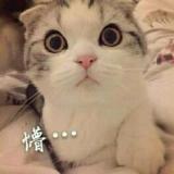 雨中漫步de我
