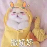 书友57207
