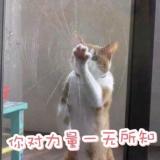 张大仙