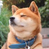 走着走着