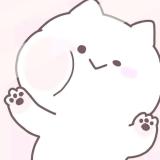 橘子皮