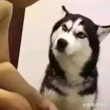 寒江钓鱼
