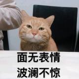 曦末