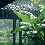 洁净蔓延石黑崖