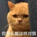 千喵喵喵