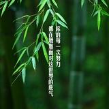 乔子