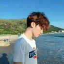 努力向上的齐木