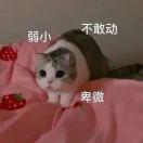 书友14146