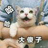 书友58105