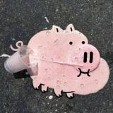 归白