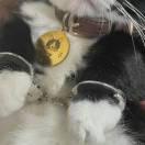 暂时不知道自己应该起啥名