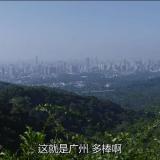 书友13014