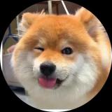 找LG