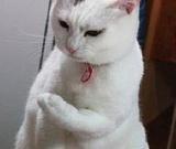 手上就到家