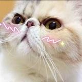 嘀嘀嘀丶