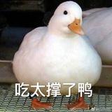桃子大桃子