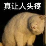 唔破司