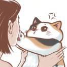 书友57173