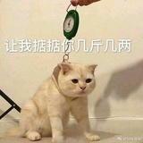 Yokito