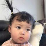 南苍术