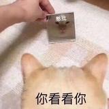 阳阳