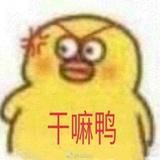 假装不在