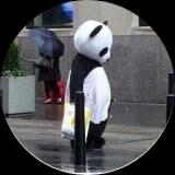 山今橙子