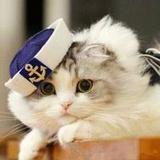 y犹豫的乞丐