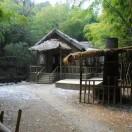 游龙先生