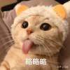 只要名字起的长就有傻子看
