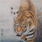 中国虎虎集团