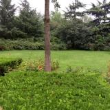 梦茹0707