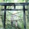 婳心