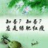ZWL看评论