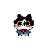 鱼巷猫未随