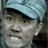 似流年