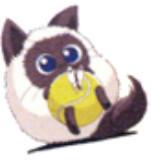 腹黑jy