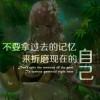 追隨風的腳步