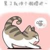 -猫有九命『只有一心』