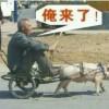 我叫扬阳洋