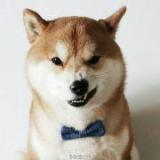 没头脑和中二病