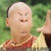 说走却等