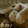 暗殇月～青山蒙蒙