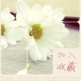 来一生缘分