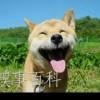 荒原裸男