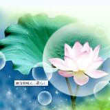 清依墨影