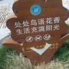 火柴男孩
