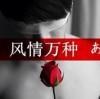 哥就是高傲，你学不来づ