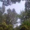 似水☆雨滴